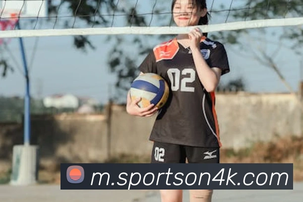 球赛投注平台生态图